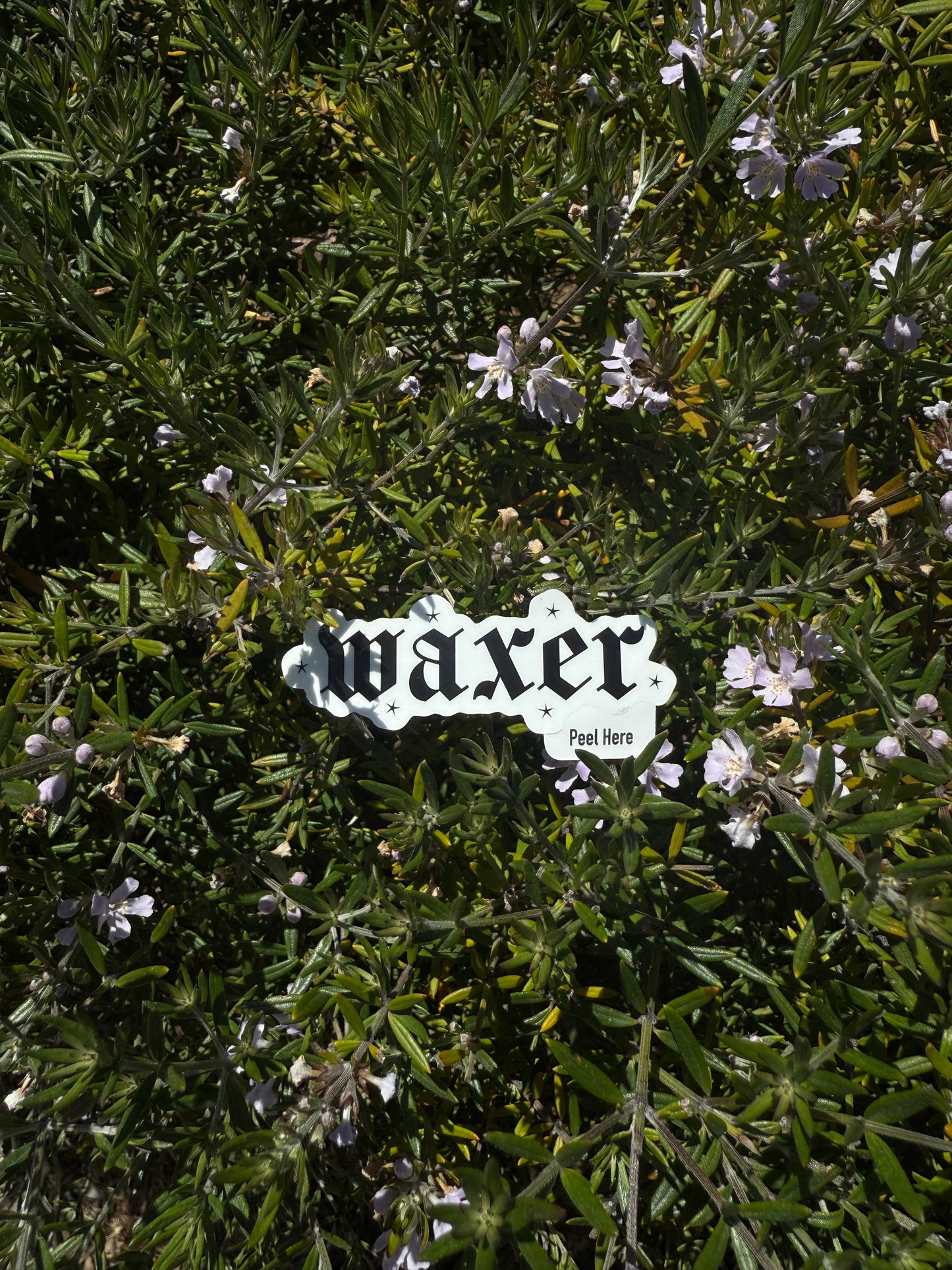 Waxer Sticker